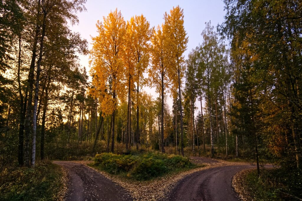 Two roads diverging in a wood, the image behind the road less traveled cuisine.